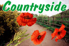 Countryside Collection
6 Country & Village life covers (save over £40) Countryside Collection
6 Country & Village life covers (save over £40)