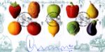 Fun Fruit and Veg, Victorian Engravings of Fruit & Vegetables
Signed By: Antony Worrall-Thompson (Celebrity Chef and TV Presenter) Fun Fruit and Veg, Victorian Engravings of Fruit & Vegetables
Signed By: Antony Worrall-Thompson (Celebrity Chef and TV Presenter)