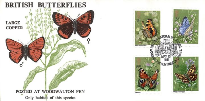 Butterflies, Woodwalton Fen Butterflies, Woodwalton Fen