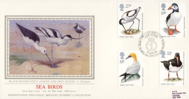 Sea Birds, Stilt, Avocet & Plover Sea Birds, Stilt, Avocet & Plover