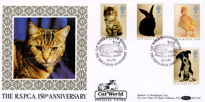 RSPCA, Cat RSPCA, Cat