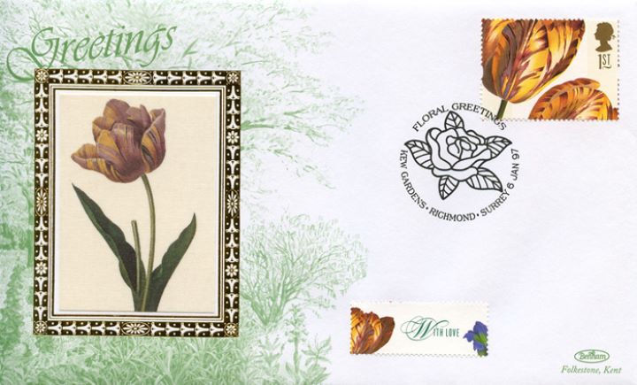 Flower Paintings (Greetings), Tulipa culta Flower Paintings (Greetings), Tulipa culta