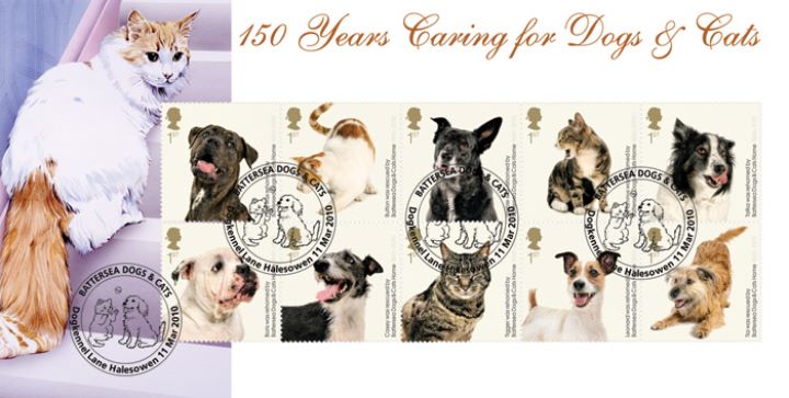 Battersea Dogs & Cats Home, Good homes wanted Battersea Dogs & Cats Home, Good homes wanted