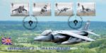 British Engineering: Miniature Sheet
Harrier Jump Jet - 50th Anniversary British Engineering: Miniature Sheet
Harrier Jump Jet - 50th Anniversary