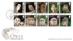 Owls
Owl in Flight Owls
Owl in Flight