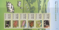 Farm Animals: Series No.2, Pigs Farm Animals: Series No.2, Pigs