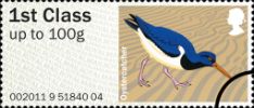 16.09.2011, Birds of Britain (4): 1st