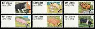 Farm Animals: Series No.2, Pigs