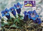 Botanical Congress
Spring Gentian Post Card