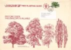 British Trees - The Oak
Longbow Tree Planting Guide