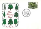 British Trees - The Oak
Tree Planting Year