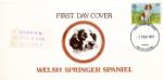 British Dogs
Welsh Springer Spaniel