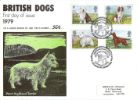 British Dogs
Welsh Highland Terrier