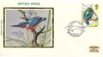 British Birds 1980
Kingfisher and Bluebells