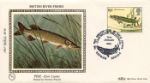 Freshwater Fish
Pike
Producer: Benham
Series: 1983 Small Silk (1.2)