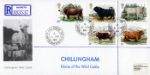 British Cattle
Chillingham Wild Bull