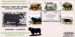 British Cattle
Welsh Black Cattle Society