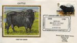 British Cattle
Welsh Black Bull