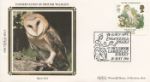 Species at Risk
Barn Owl