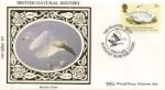 Linnean Society
Bewick's Swan