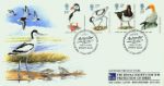 Sea Birds
RSPB Action for Birds Centenary