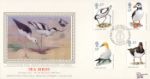 Sea Birds
Stilt,  Avocet &  Plover