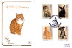 RSPCA
Ginger Cat
Producer: Cotswold