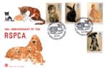 RSPCA
Cats and Dogs