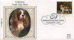 Dogs: Paintings by Stubbs
King Charles Spaniel