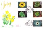 4 Seasons: Spring
Daffodils