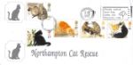 Cats
Northampton Cat Rescue