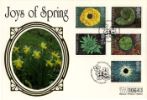 4 Seasons: Spring
Daffodils