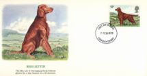 07.02.1979
British Dogs
Irish Setter
Fleetwood