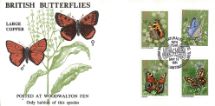 13.05.1981
Butterflies
Woodwalton Fen
Hawkwood