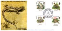 20.05.1986
Species at Risk
Lancashire Sand Lizard
Hawkwood