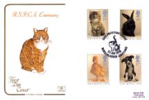 23.01.1990
RSPCA
Ginger Cat
Cotswold