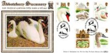 19.01.1993
Swans
Swans on nest
Benham, Gold (500) Special No.16