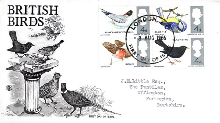 British Birds, British Garden Birds