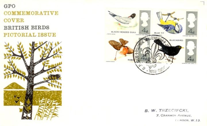 British Birds, British Wild Birds