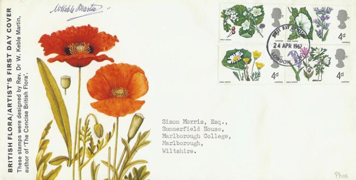 Wild Flowers, Poppies