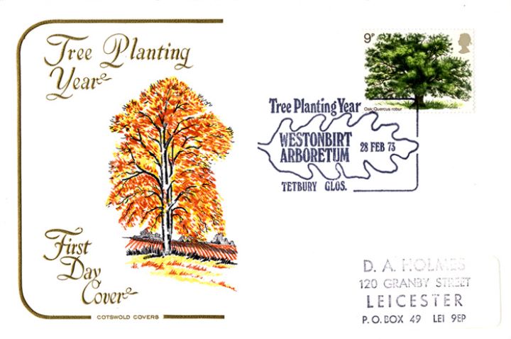 British Trees - The Oak, Tree Planting Year