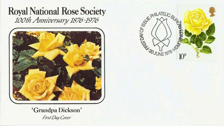 Roses 1976, Granpa Dickson