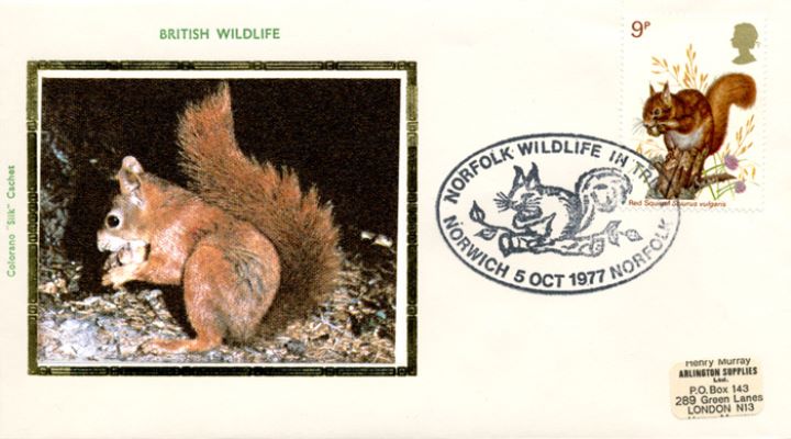 British Wildlife, Red Squirrel