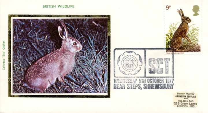 British Wildlife, Hare