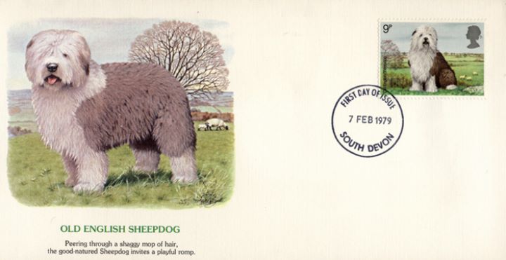 British Dogs, Old English Sheepdog