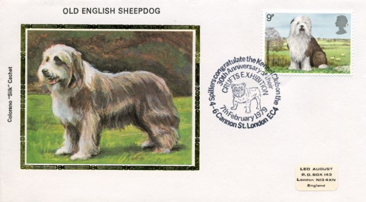 British Dogs, Old English Sheepdog