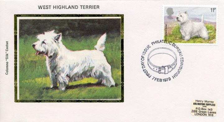 British Dogs, West Highland Terrier