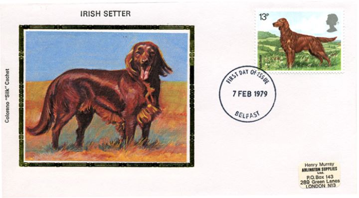 British Dogs, Irish Setter