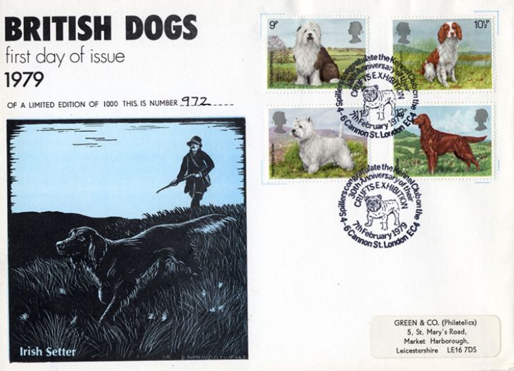 British Dogs, Irish Setter