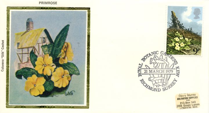 Spring Flowers, Primrose